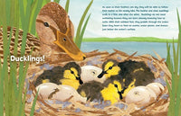 Guess What Is Growing Inside This Egg