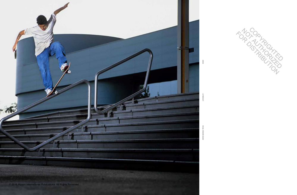 Nike SB: The Dunk Book