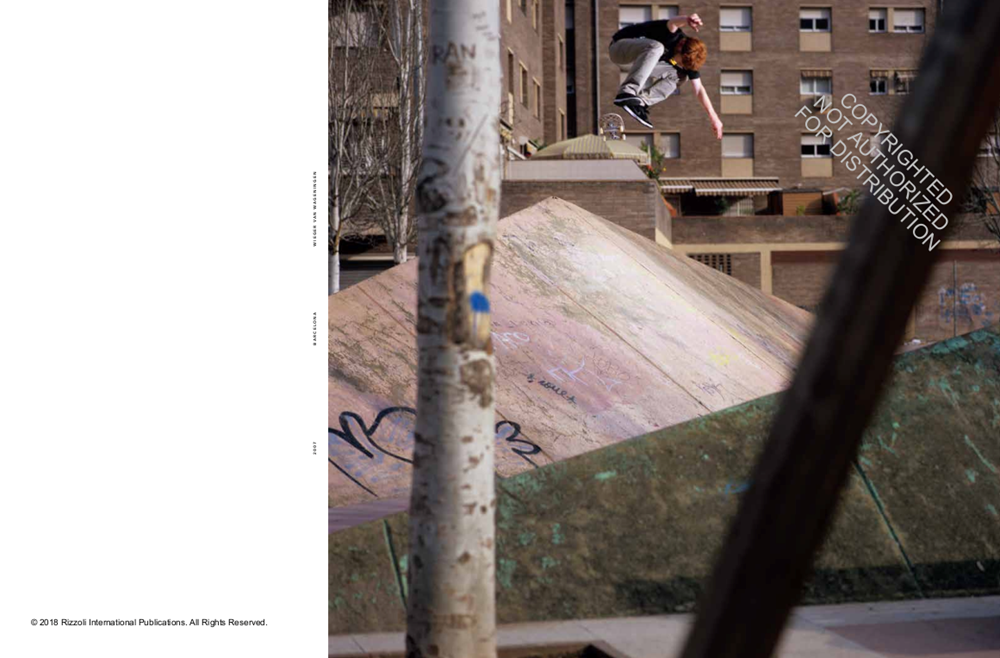 Nike SB: The Dunk Book