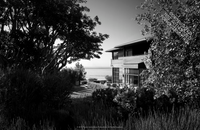 Scott Mitchell Houses