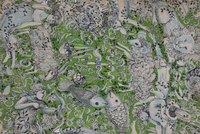 Suzie Zuzek for Lilly Pulitzer