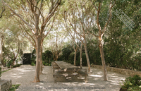 Pacific Natural at Home