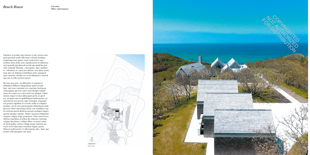 American Modern Home