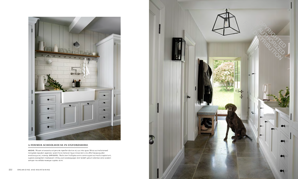 The Evolution of Home