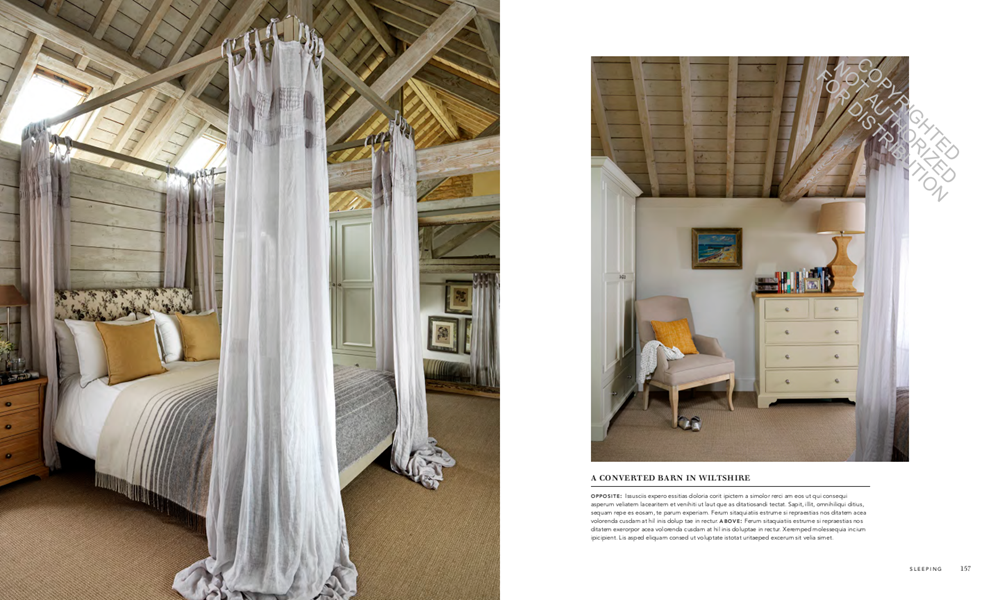 The Evolution of Home