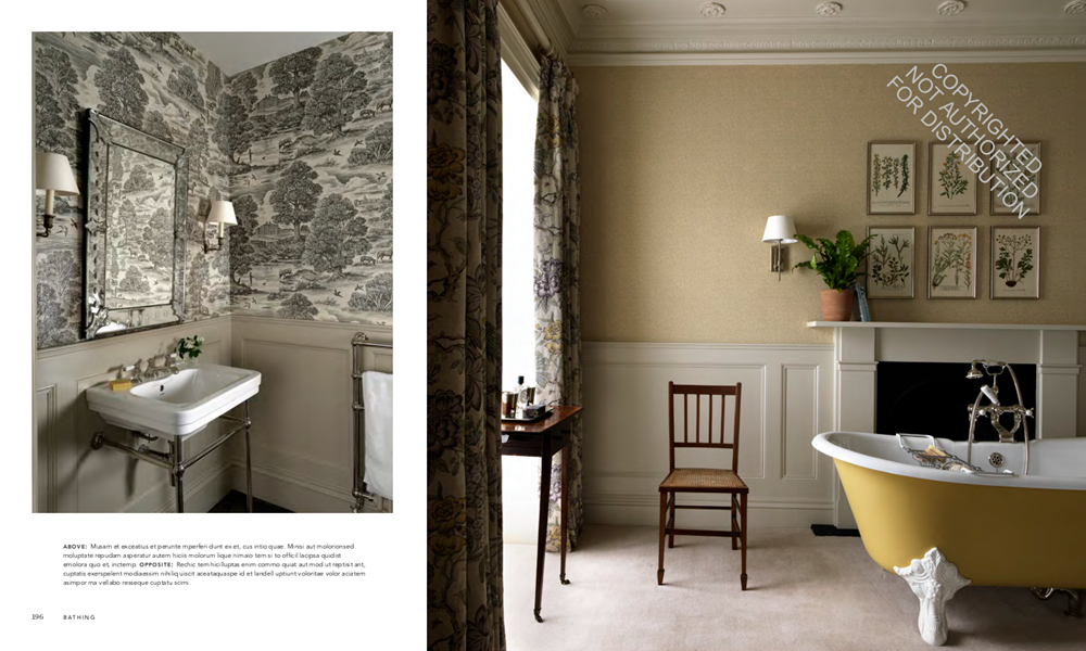 The Evolution of Home