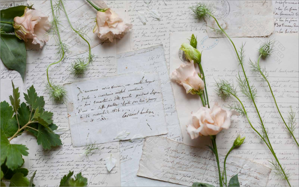 French Blooms: Floral Arrangements Inspired by Paris and Beyond