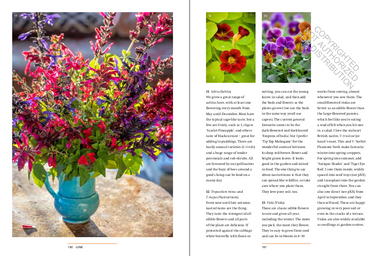 A Year in the Edible Garden: A Month-by-Month Guide to Growing and Harvesting Vegetables, Herbs, and Edible Flowers