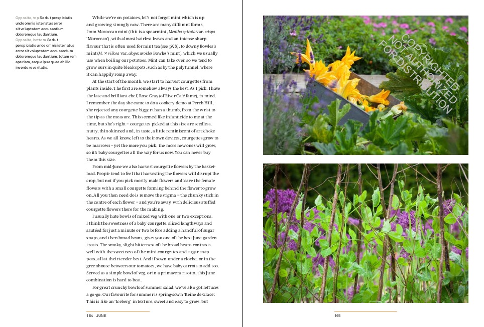 A Year in the Edible Garden: A Month-by-Month Guide to Growing and Harvesting Vegetables, Herbs, and Edible Flowers