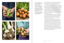 A Year in the Edible Garden: A Month-by-Month Guide to Growing and Harvesting Vegetables, Herbs, and Edible Flowers