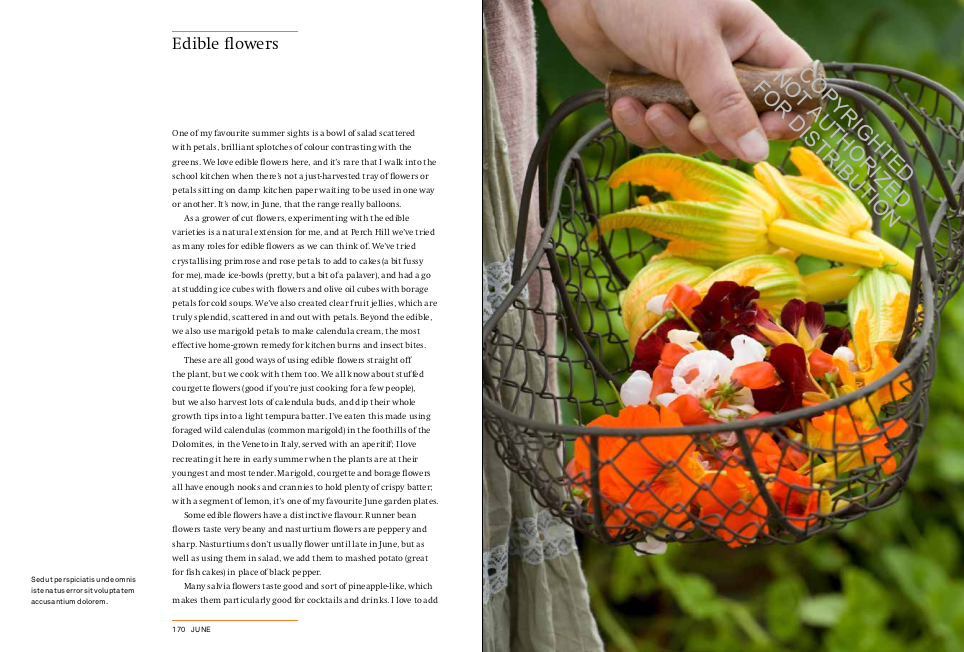 A Year in the Edible Garden: A Month-by-Month Guide to Growing and Harvesting Vegetables, Herbs, and Edible Flowers