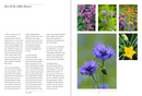 A Year in the Edible Garden: A Month-by-Month Guide to Growing and Harvesting Vegetables, Herbs, and Edible Flowers