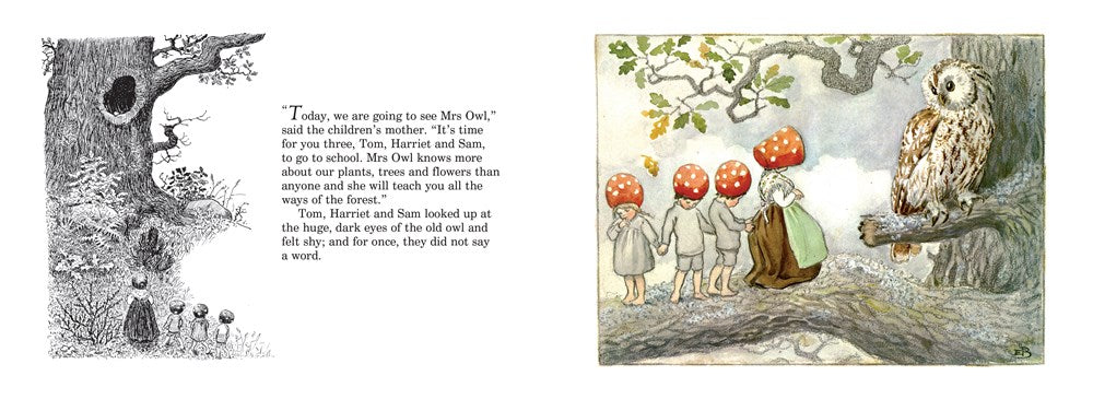 Children of the Forest