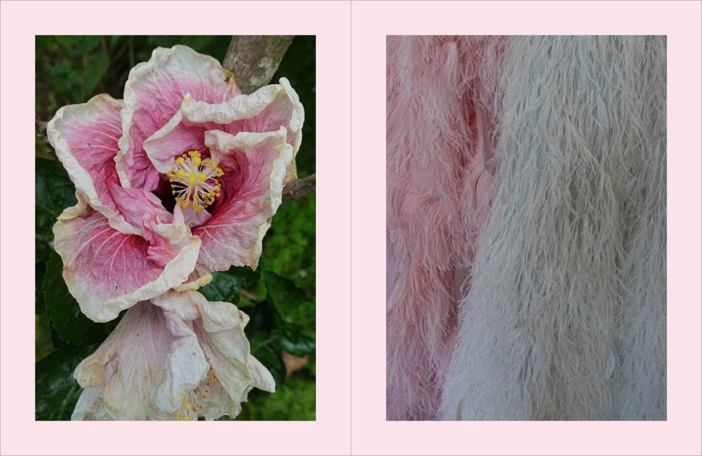 Beige Is Not a Color