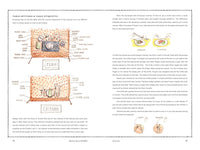 Manners Begin at Breakfast