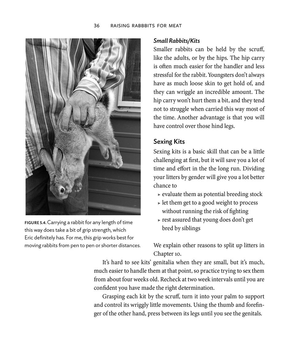 Raising Rabbits for Meat