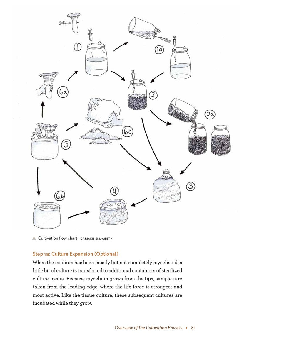 DIY Mushroom Cultivation