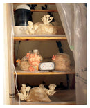 DIY Mushroom Cultivation