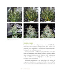 DIY Autoflowering Cannabis