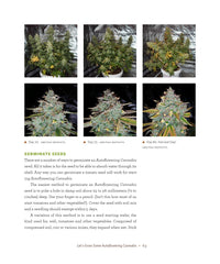 DIY Autoflowering Cannabis