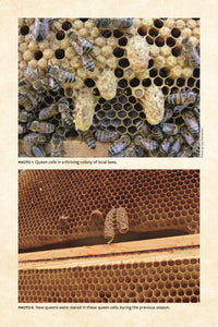 Keeping Bees with a Smile