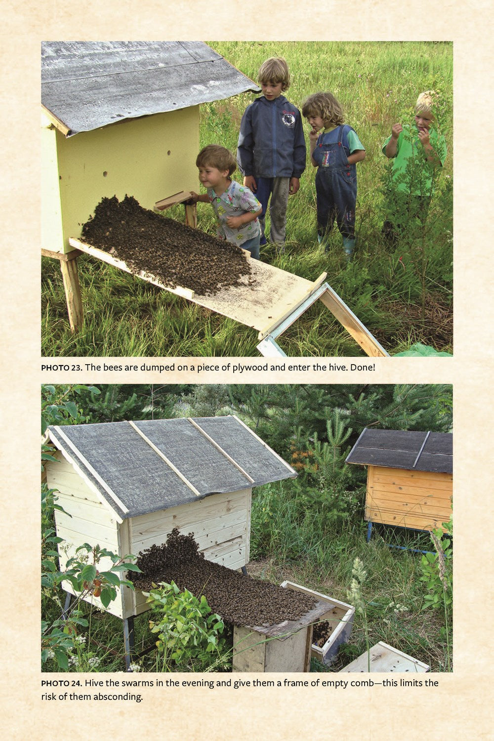 Keeping Bees with a Smile