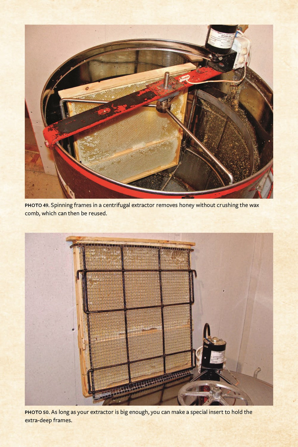 Keeping Bees with a Smile