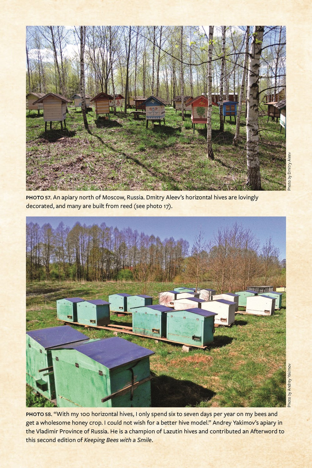 Keeping Bees with a Smile