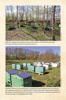 Keeping Bees with a Smile