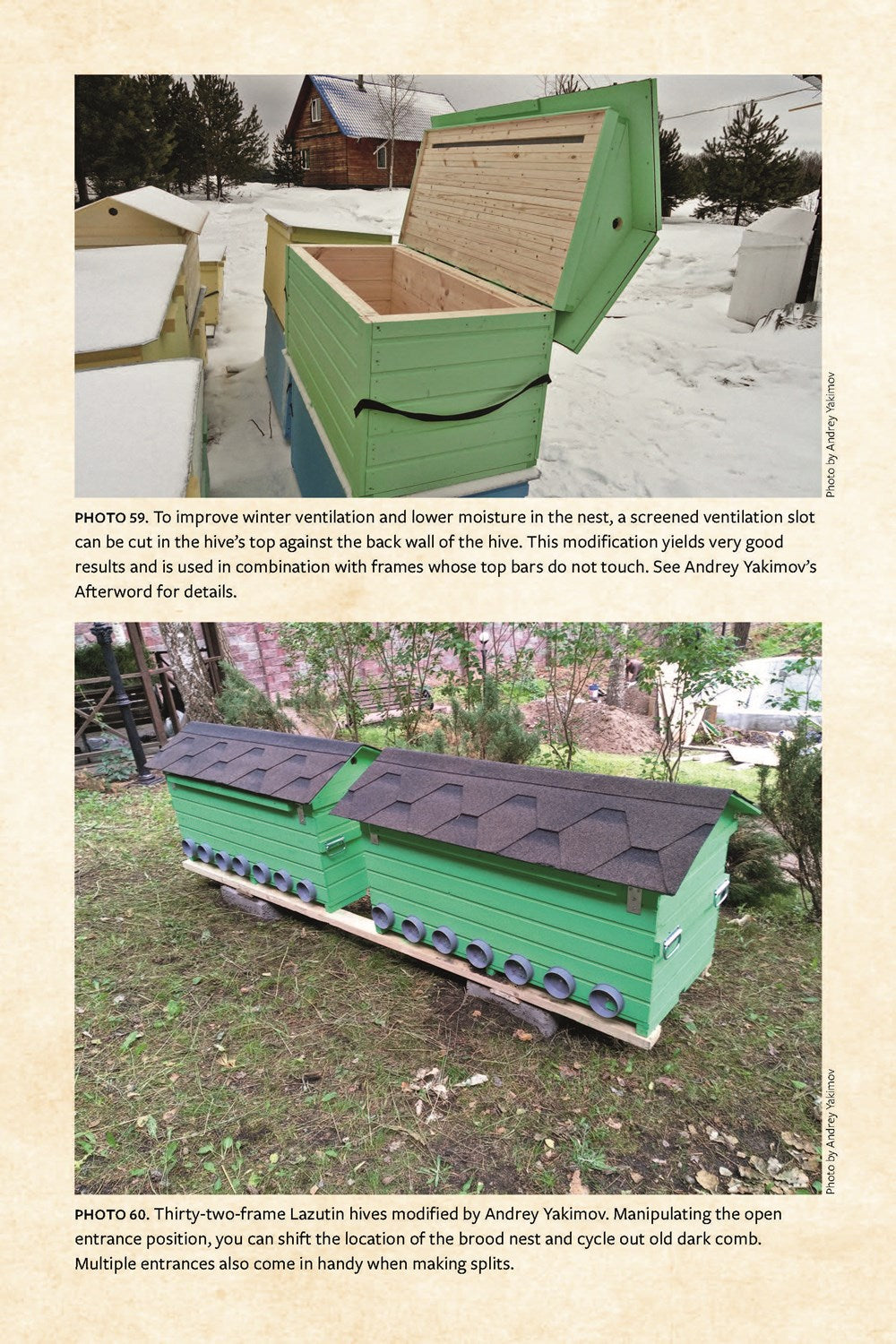 Keeping Bees with a Smile