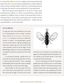 Growing Figs in Cold Climates