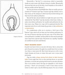 Growing Figs in Cold Climates