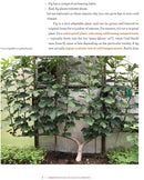 Growing Figs in Cold Climates