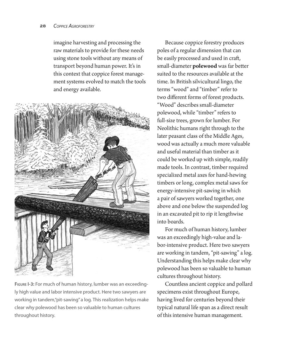 Coppice Agroforestry