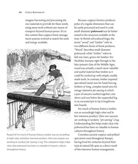 Coppice Agroforestry