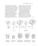 Coppice Agroforestry