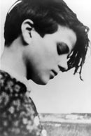 At the Heart of the White Rose