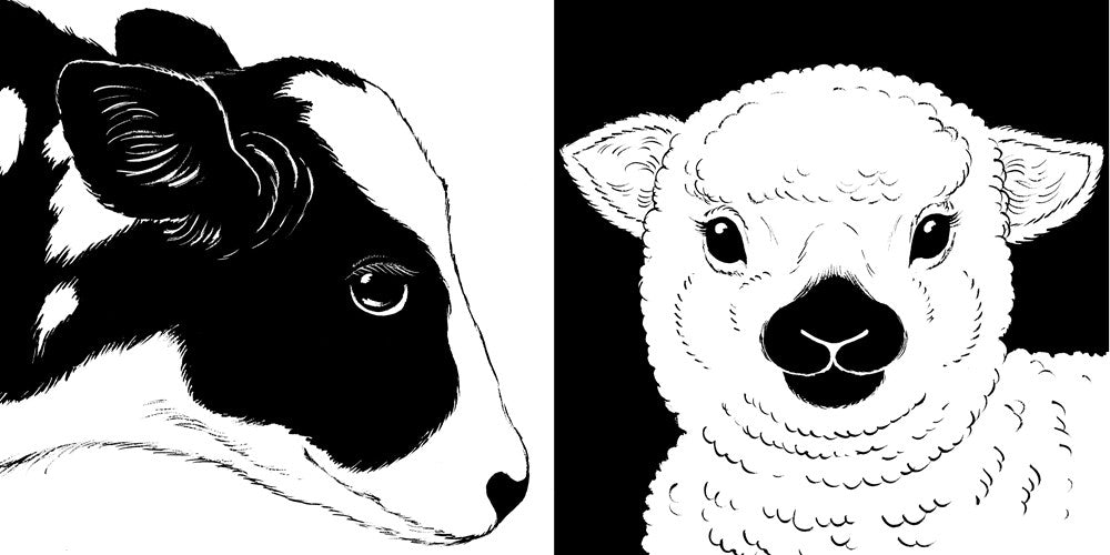 Baby Animals Black and White