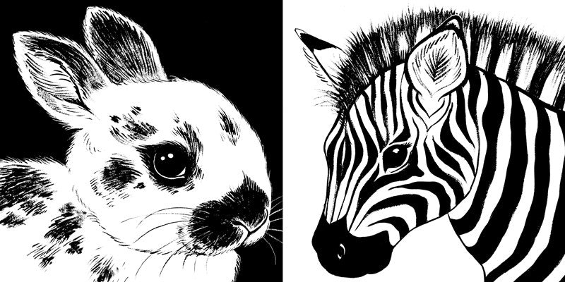 Baby Animals Black and White