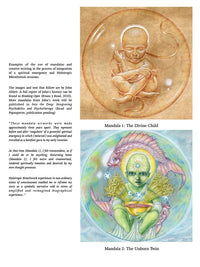 Psychedelic Integration