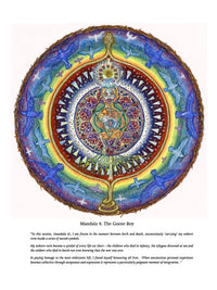 Psychedelic Integration