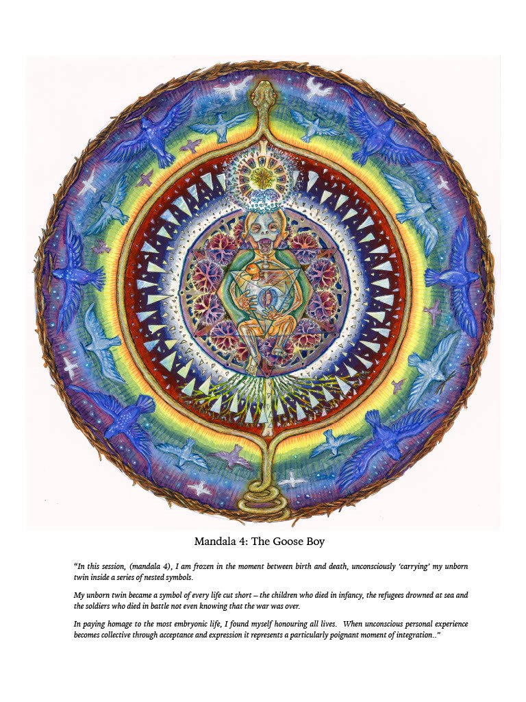 Psychedelic Integration