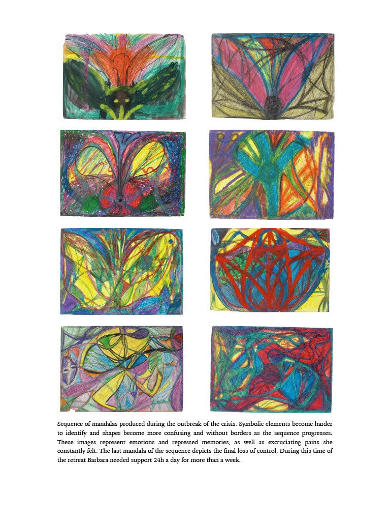 Psychedelic Integration