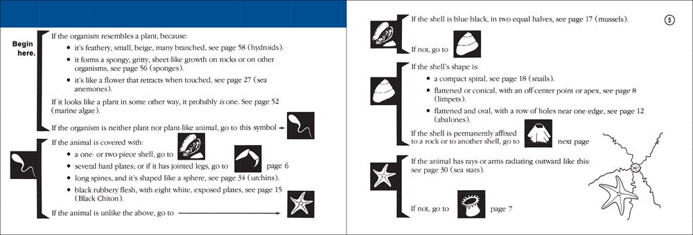 Pacific Intertidal Life