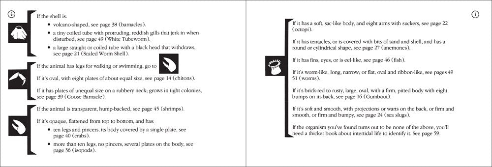 Pacific Intertidal Life