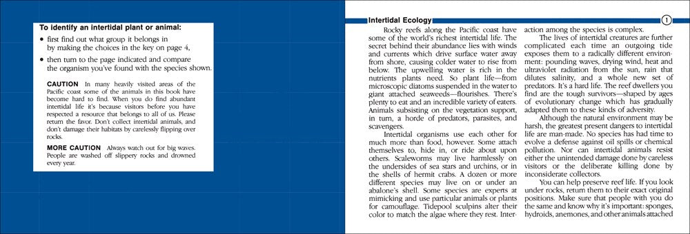 Pacific Intertidal Life