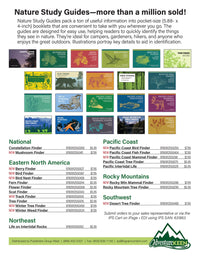 Pacific Intertidal Life