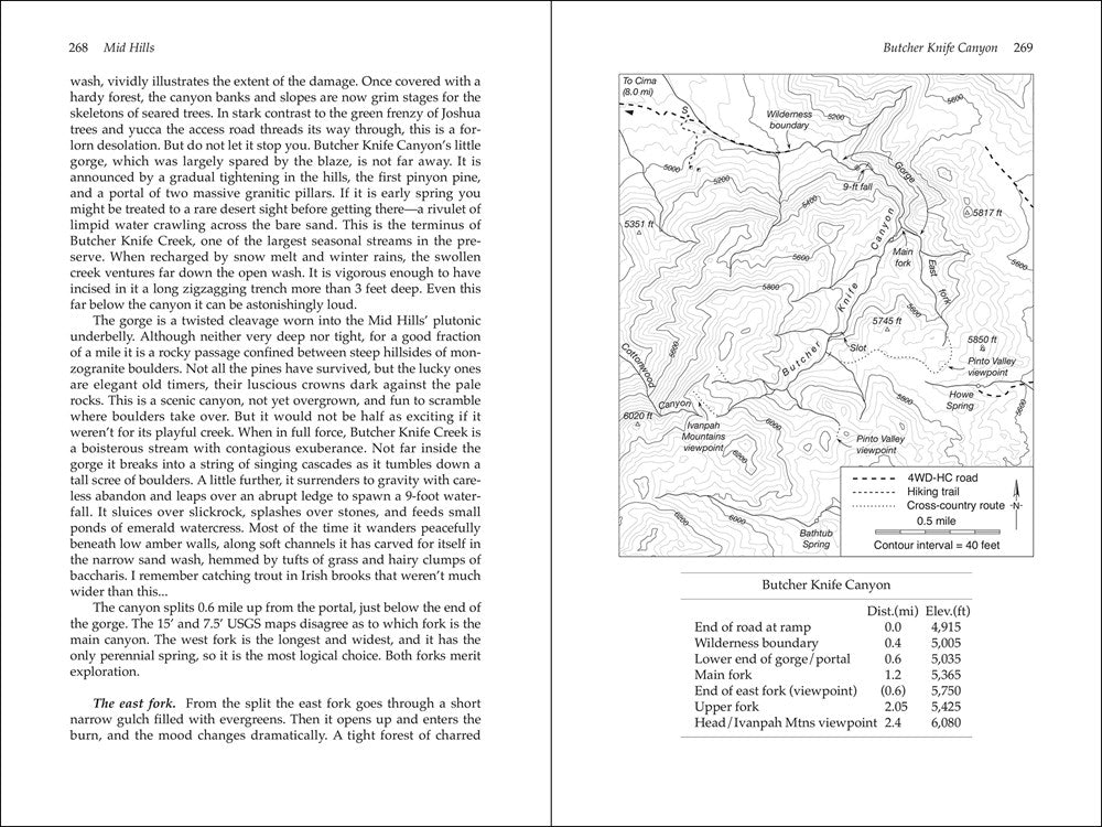 Hiking the Mojave Desert