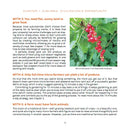 The Suburban Micro-Farm