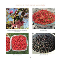 The Suburban Micro-Farm